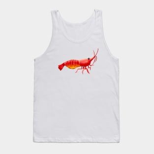 Pregnant Aquarium Cherry Shrimp Tank Top